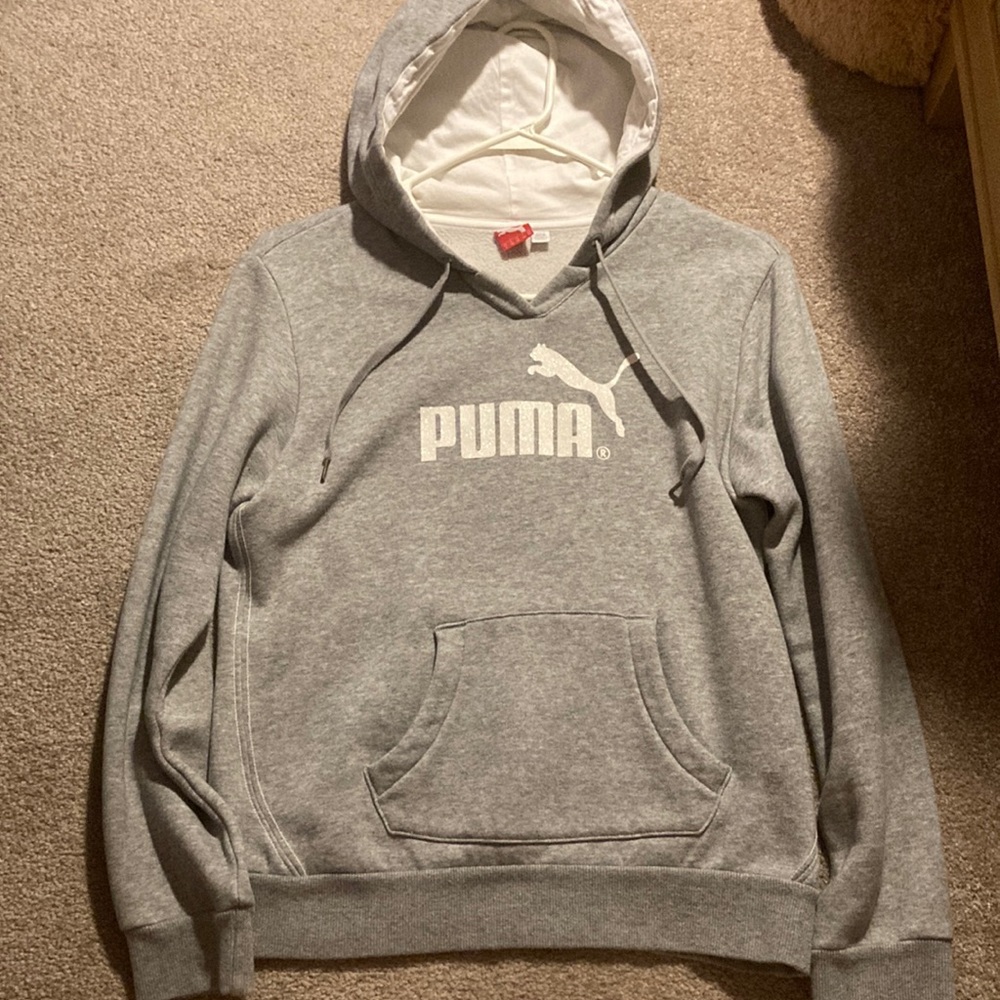 Gray puma hoodie with sparkly logo - Picture 1 of 4